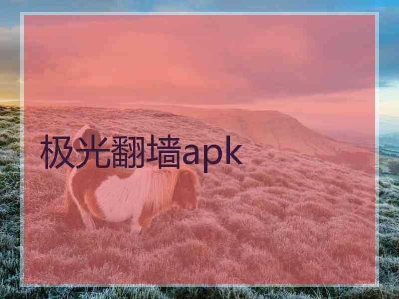 极光翻墙apk