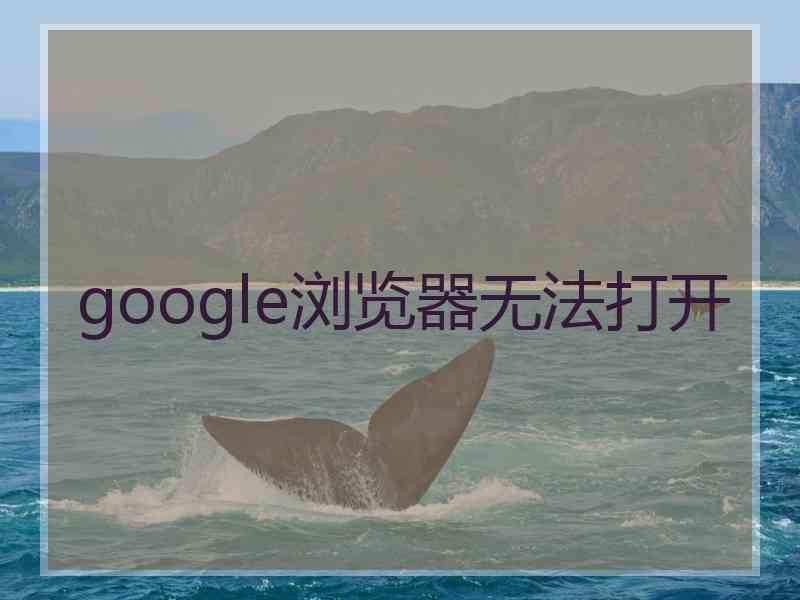 google浏览器无法打开