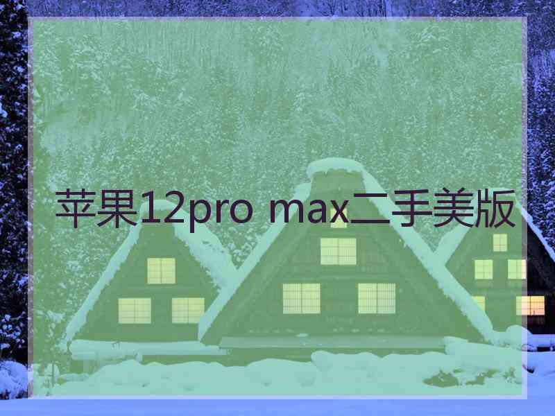 苹果12pro max二手美版