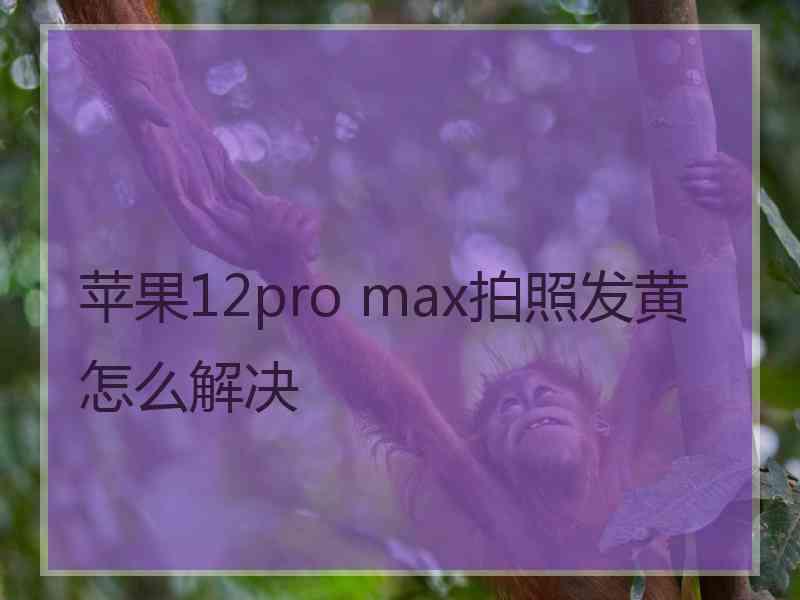 苹果12pro max拍照发黄怎么解决