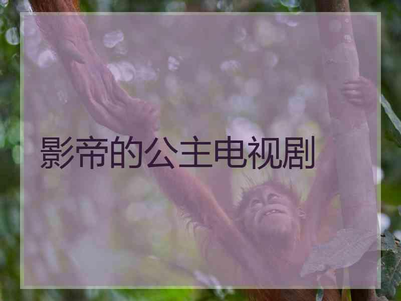 影帝的公主电视剧