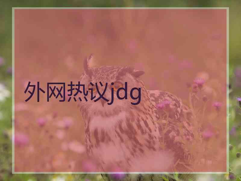 外网热议jdg