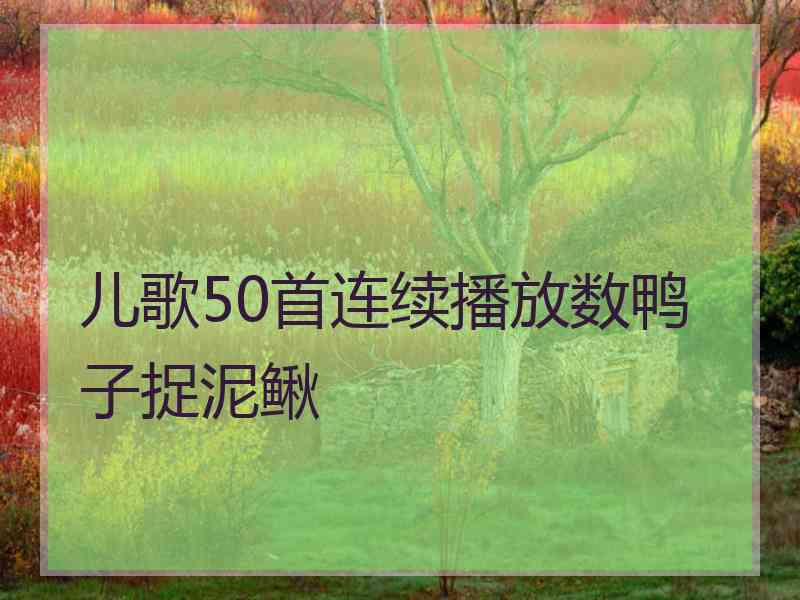 儿歌50首连续播放数鸭子捉泥鳅