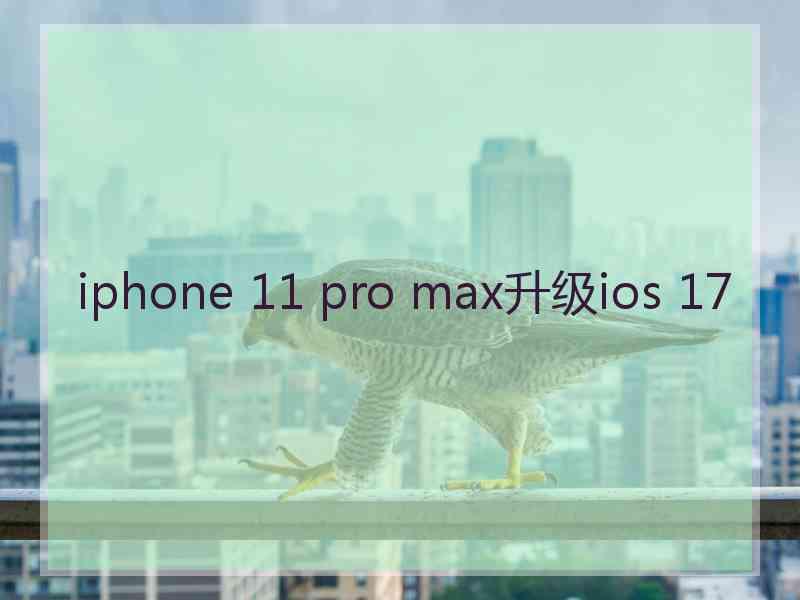 iphone 11 pro max升级ios 17