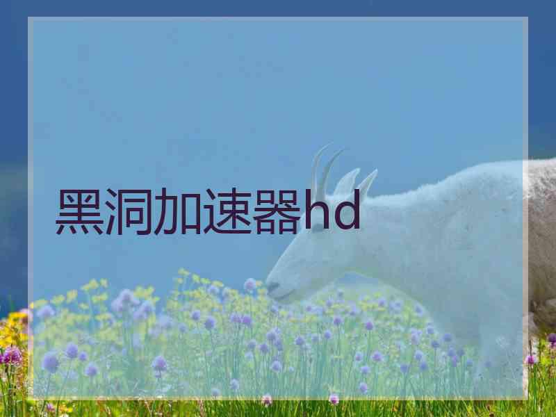 黑洞加速器hd