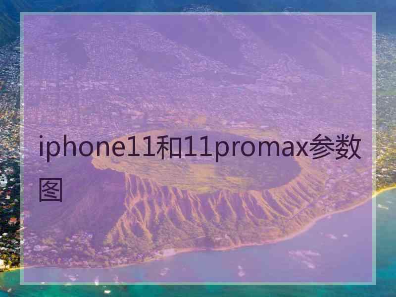 iphone11和11promax参数图