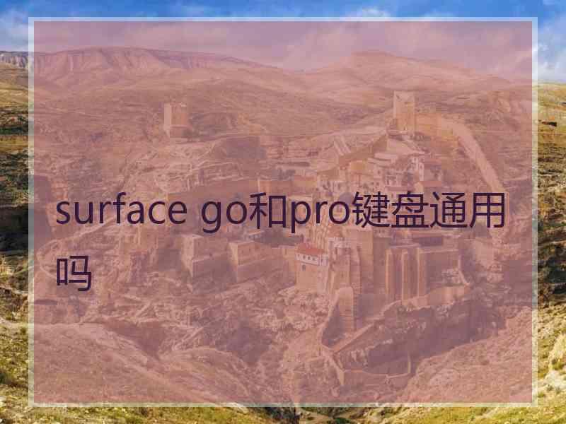 surface go和pro键盘通用吗