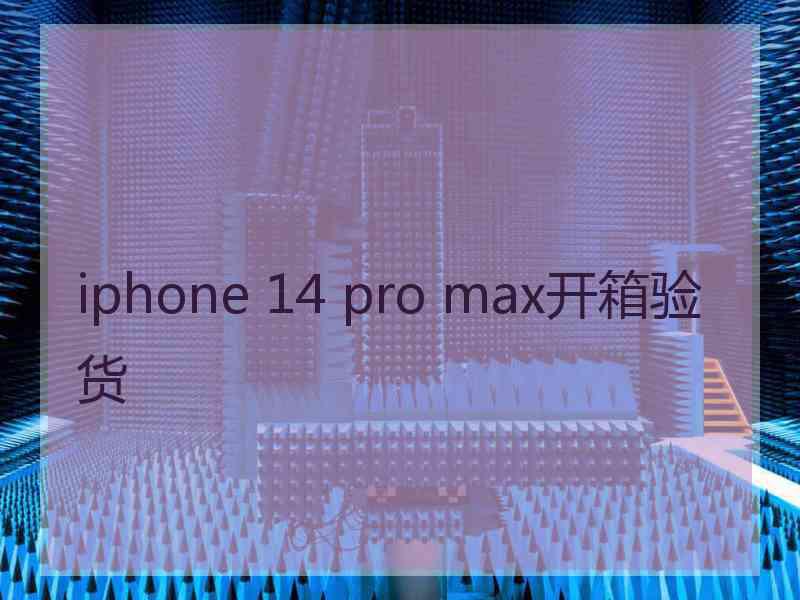 iphone 14 pro max开箱验货