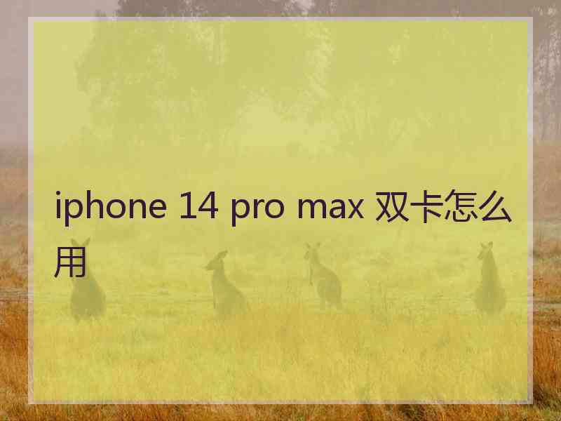 iphone 14 pro max 双卡怎么用