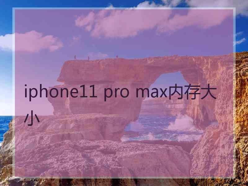 iphone11 pro max内存大小