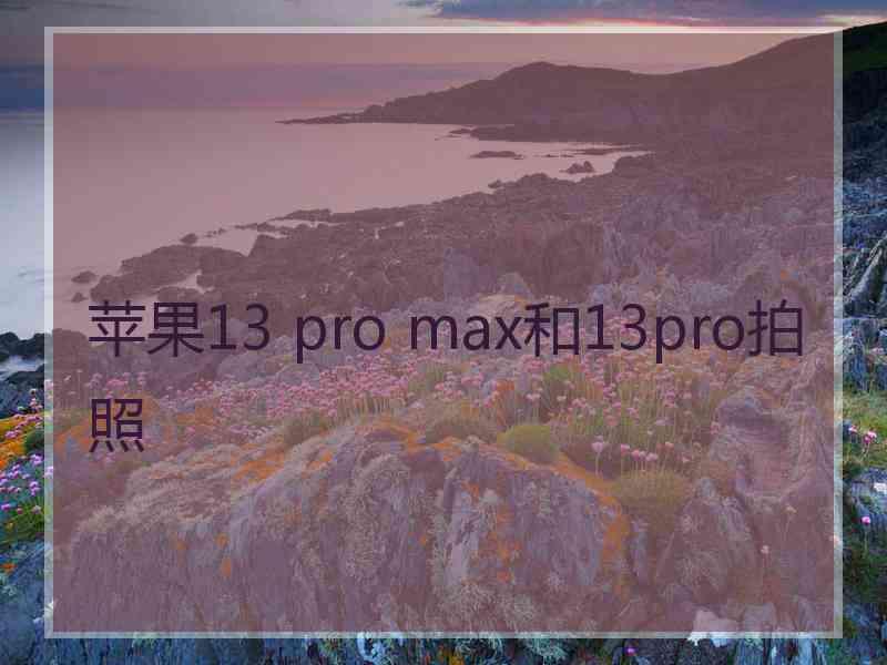 苹果13 pro max和13pro拍照