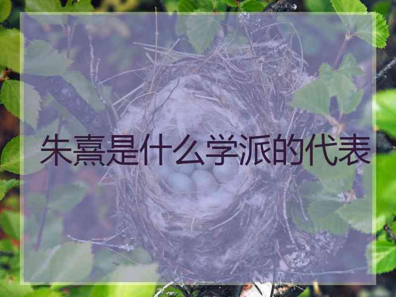 朱熹是什么学派的代表