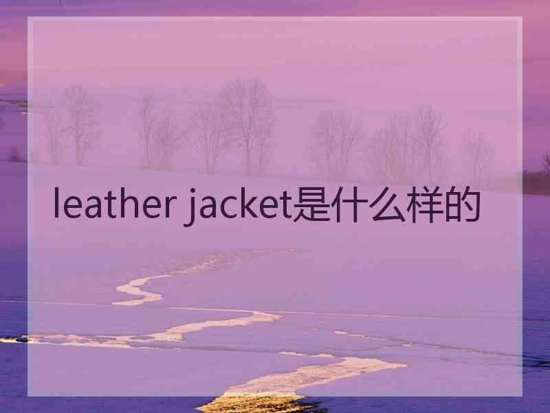 leather jacket是什么样的