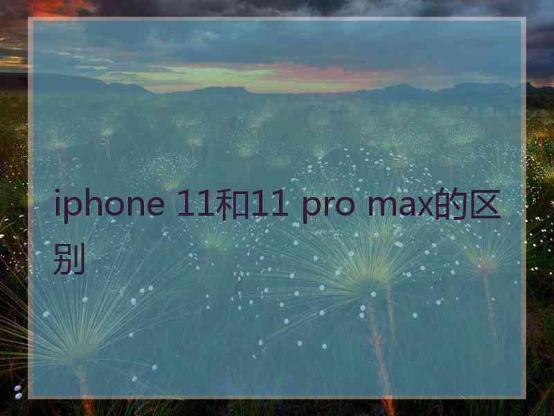 iphone 11和11 pro max的区别