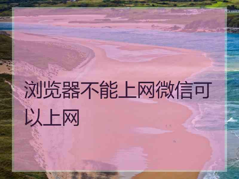 浏览器不能上网微信可以上网