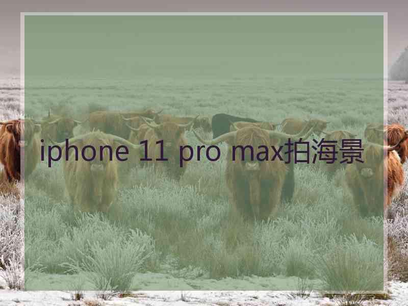 iphone 11 pro max拍海景