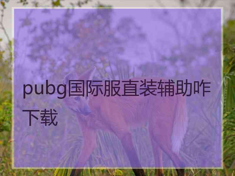 pubg国际服直装辅助咋下载