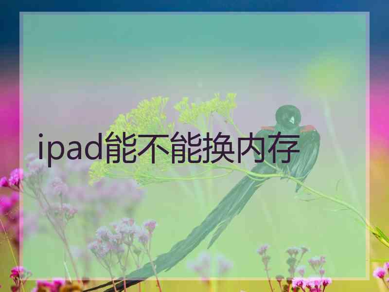 ipad能不能换内存