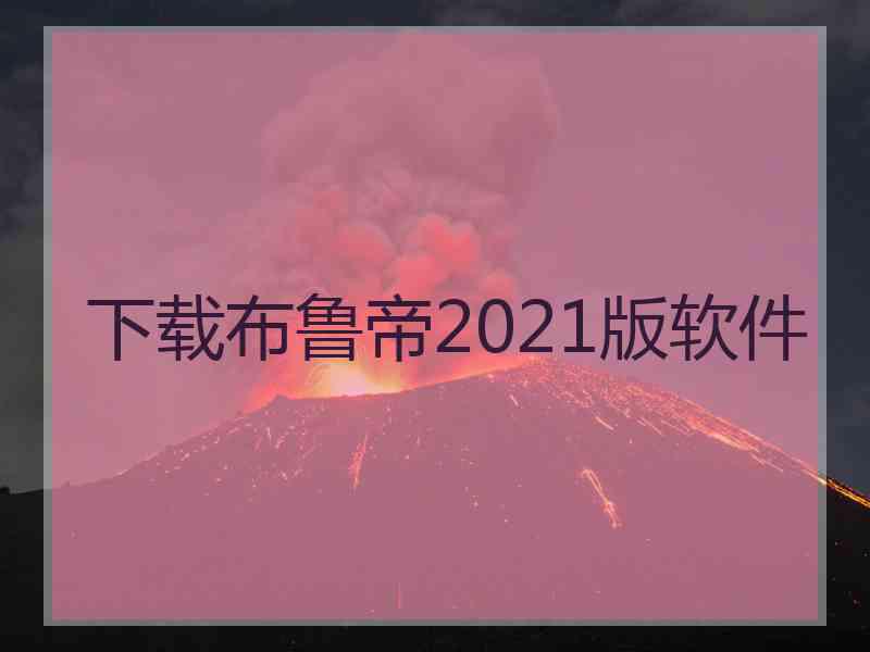 下载布鲁帝2021版软件