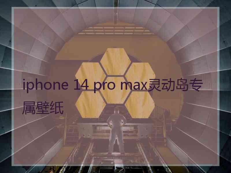 iphone 14 pro max灵动岛专属壁纸