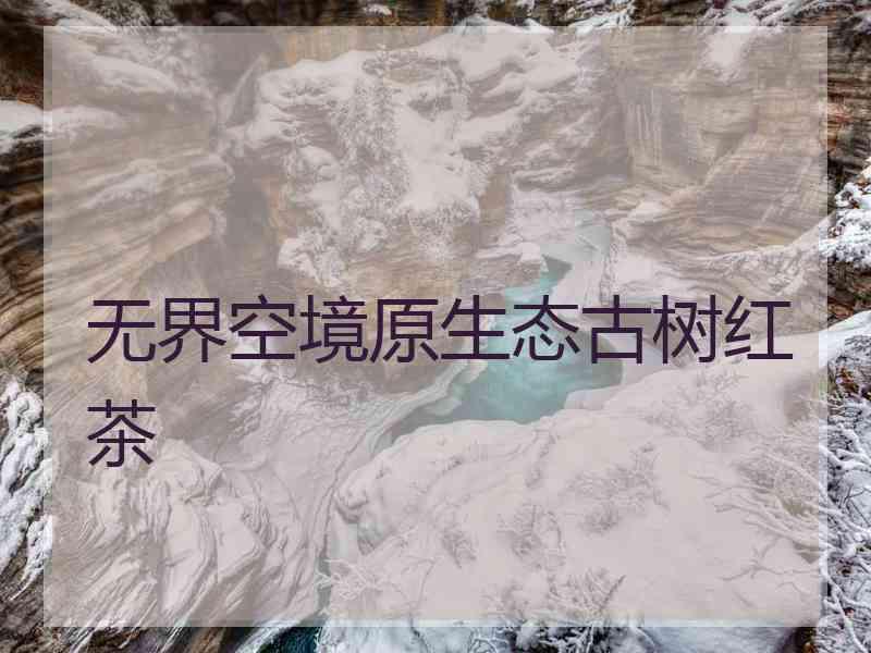 无界空境原生态古树红茶