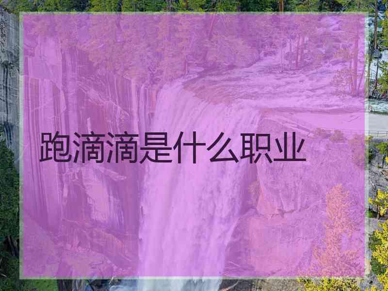 跑滴滴是什么职业