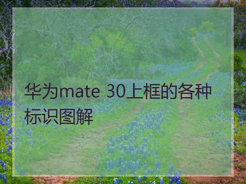 华为mate 30上框的各种标识图解