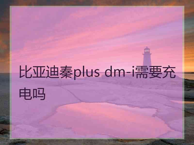 比亚迪秦plus dm-i需要充电吗