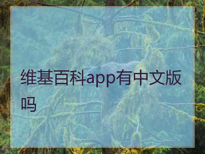 维基百科app有中文版吗