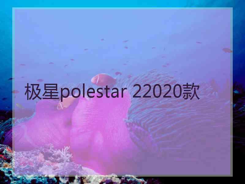 极星polestar 22020款