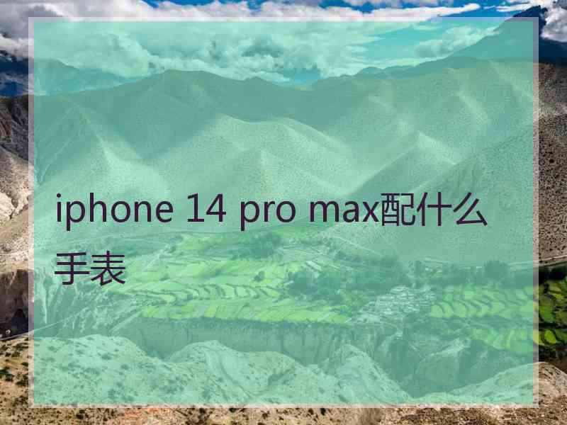 iphone 14 pro max配什么手表