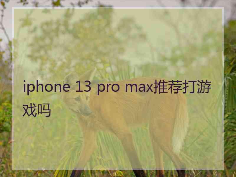 iphone 13 pro max推荐打游戏吗