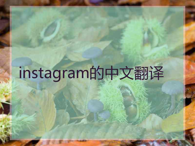 instagram的中文翻译