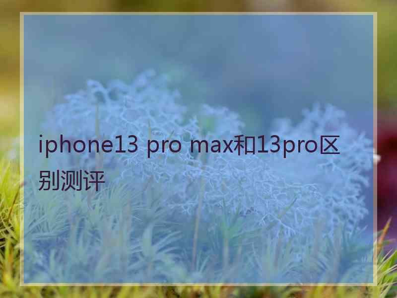 iphone13 pro max和13pro区别测评