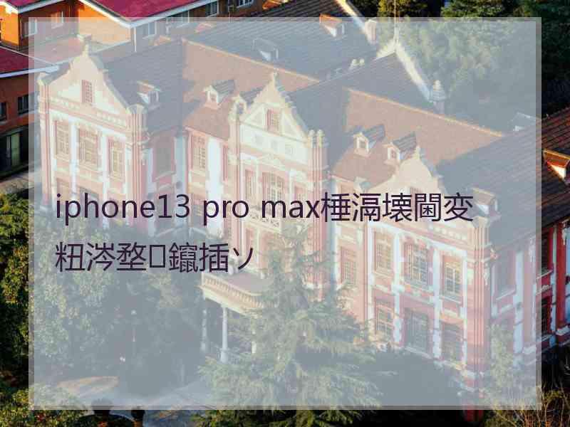 iphone13 pro max棰滆壊閫変粈涔堥鑹插ソ