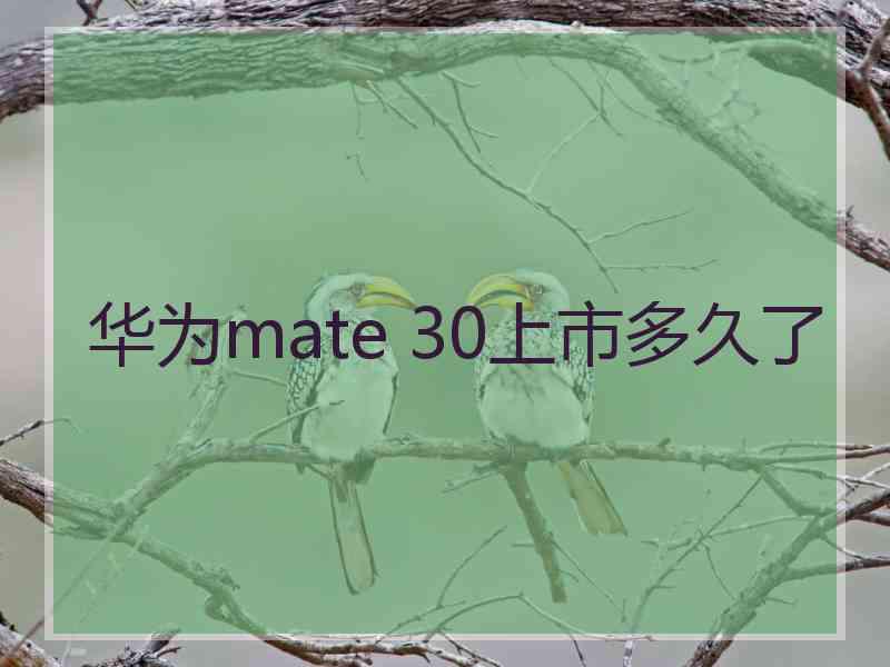 华为mate 30上市多久了