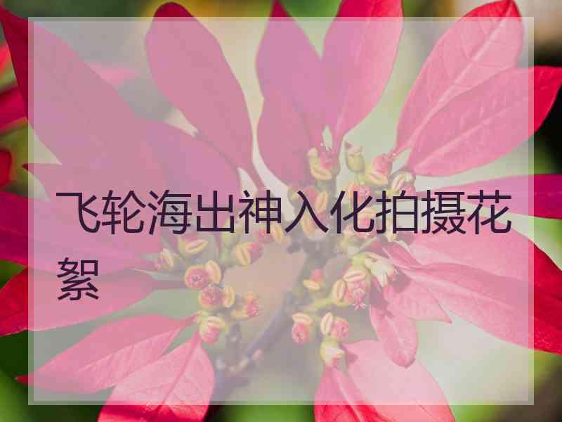 飞轮海出神入化拍摄花絮