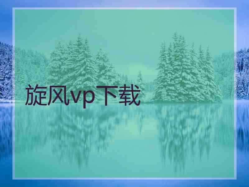 旋风vp下载