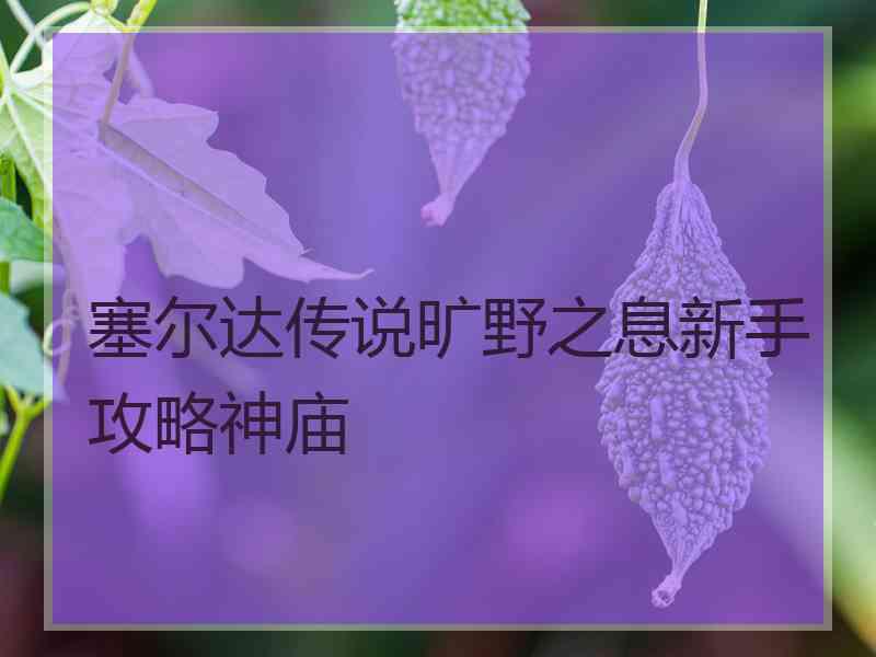 塞尔达传说旷野之息新手攻略神庙