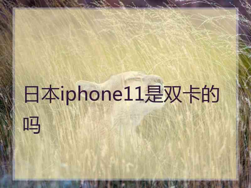 日本iphone11是双卡的吗