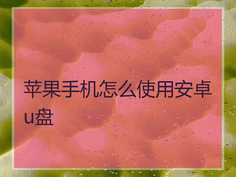 苹果手机怎么使用安卓u盘