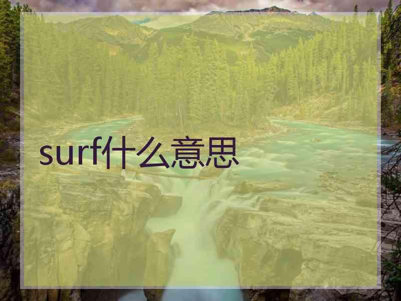 surf什么意思