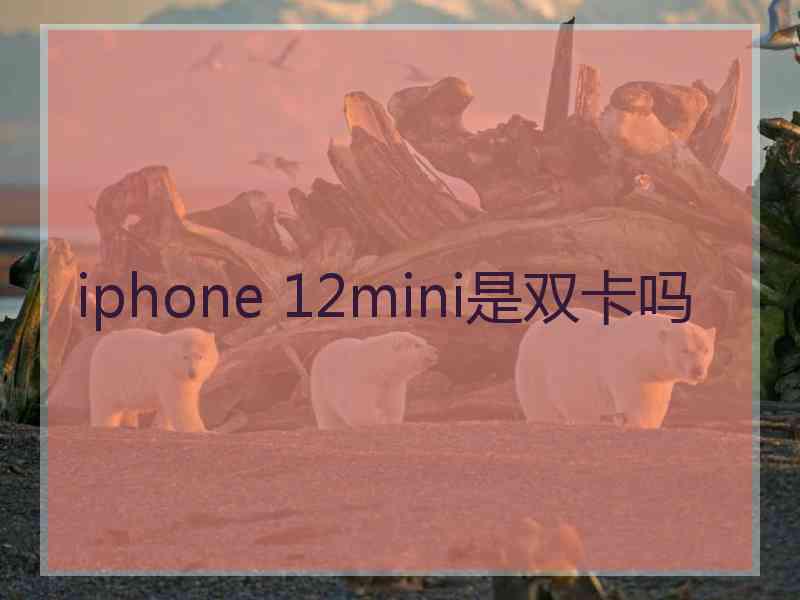 iphone 12mini是双卡吗