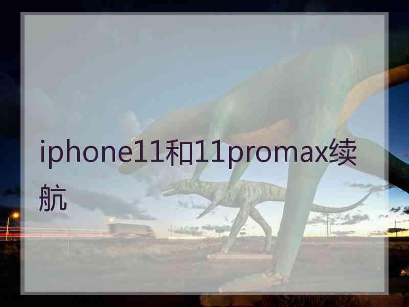 iphone11和11promax续航