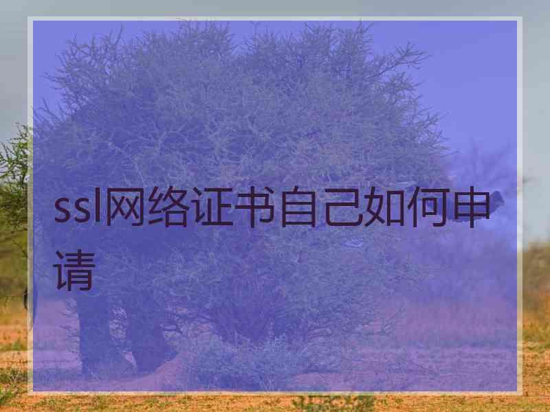 ssl网络证书自己如何申请