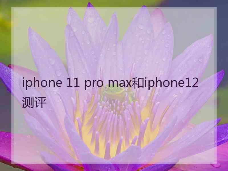 iphone 11 pro max和iphone12测评