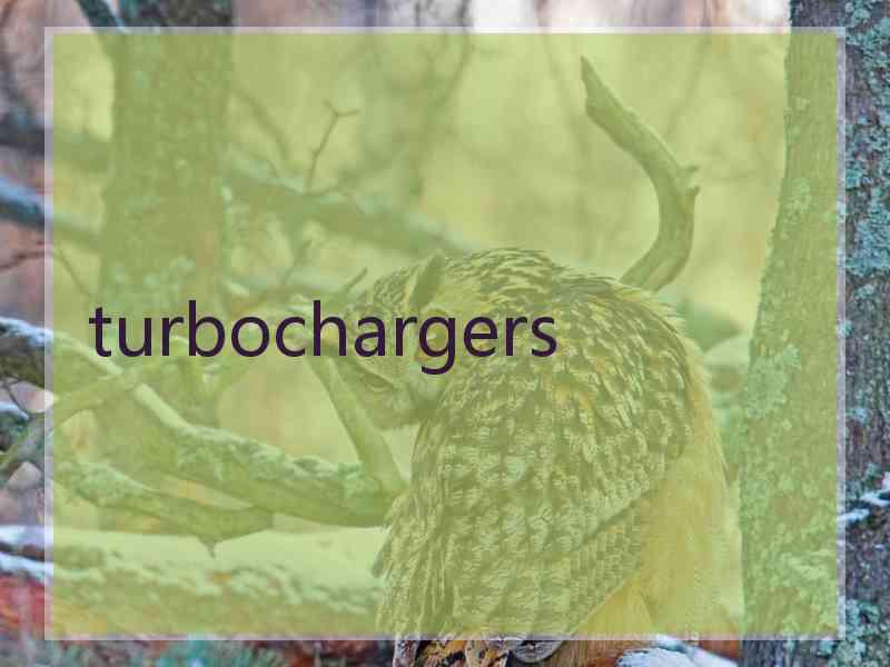 turbochargers