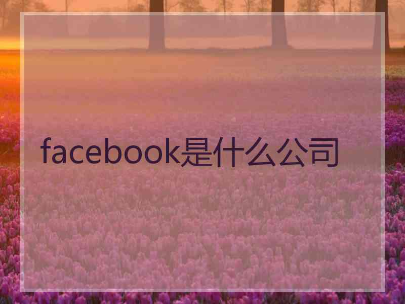 facebook是什么公司