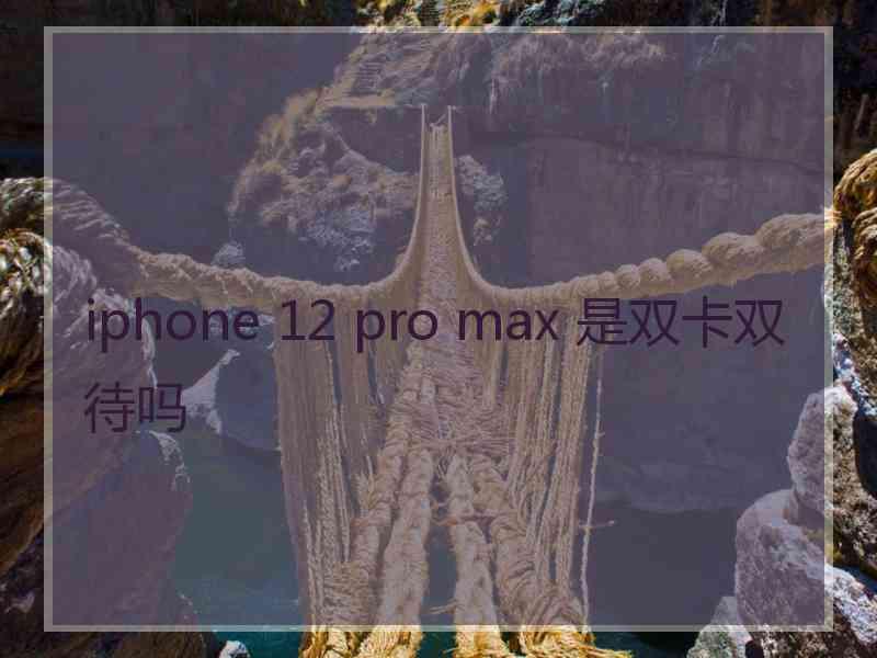 iphone 12 pro max 是双卡双待吗