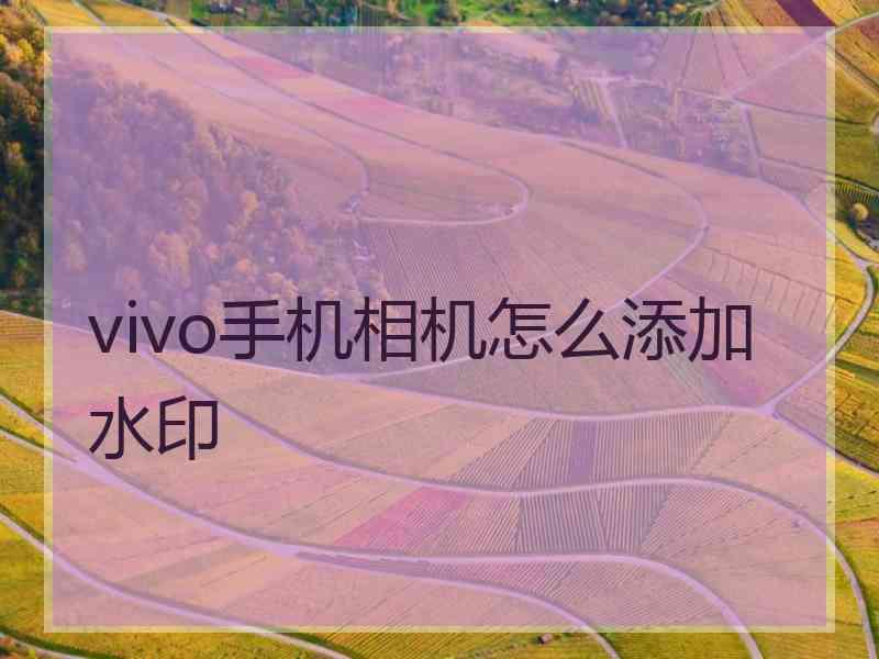 vivo手机相机怎么添加水印